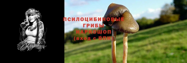 стафф Баксан