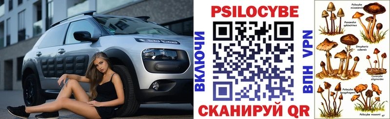 Купить где  Улан-Удэ  Галлюциногенные грибы мухоморы 
